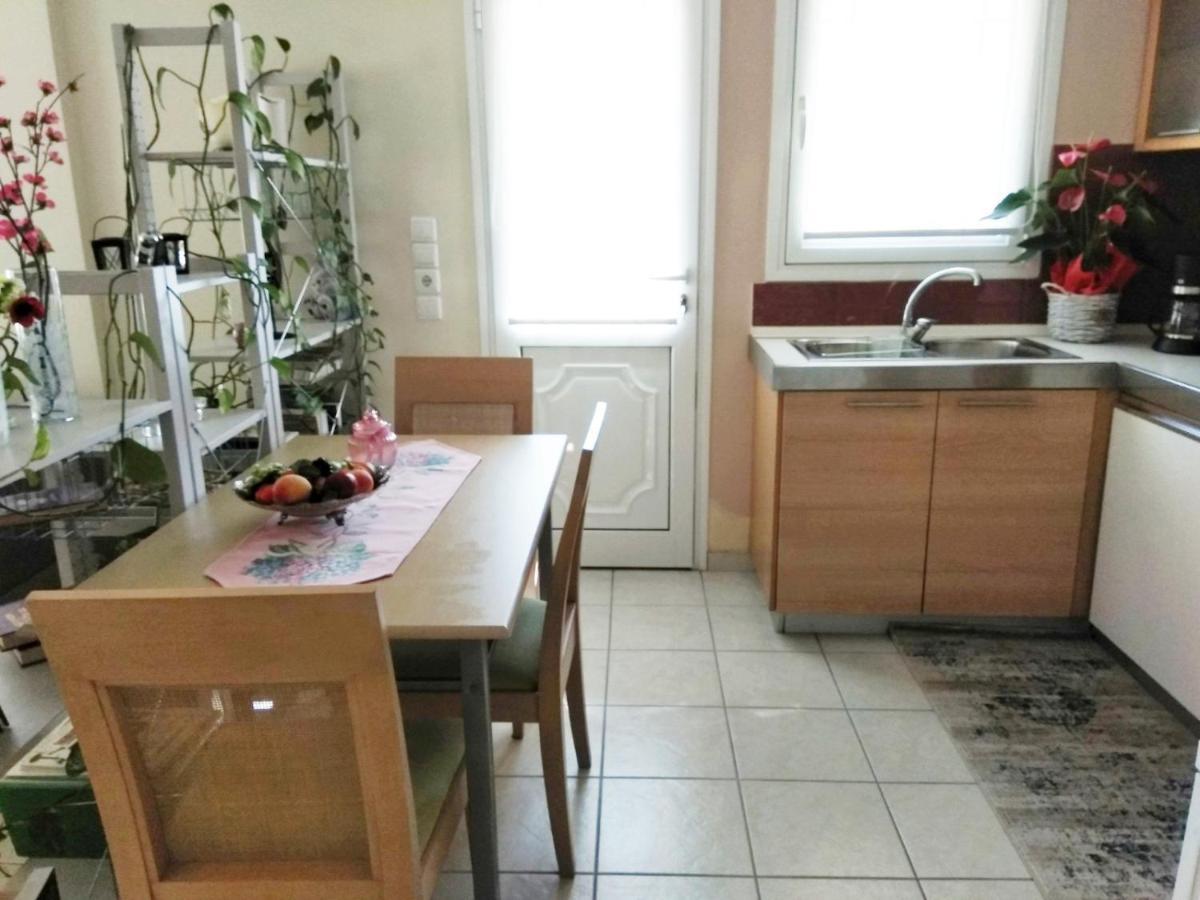 Brilliant House Apartment Volos Bagian luar foto