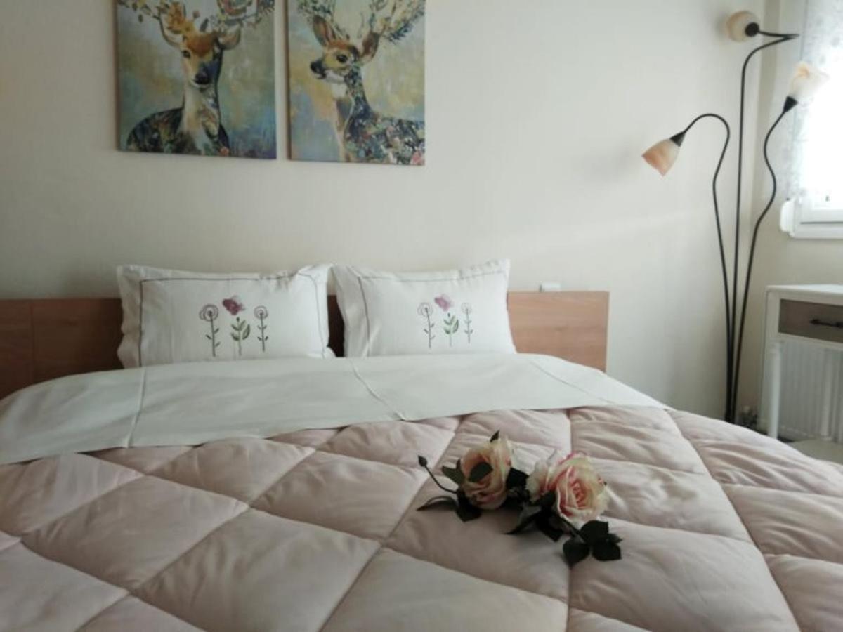 Brilliant House Apartment Volos Bagian luar foto